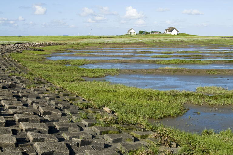 NUPIS LKN-SH Küstenbefestigung an der Hamburger Hallig