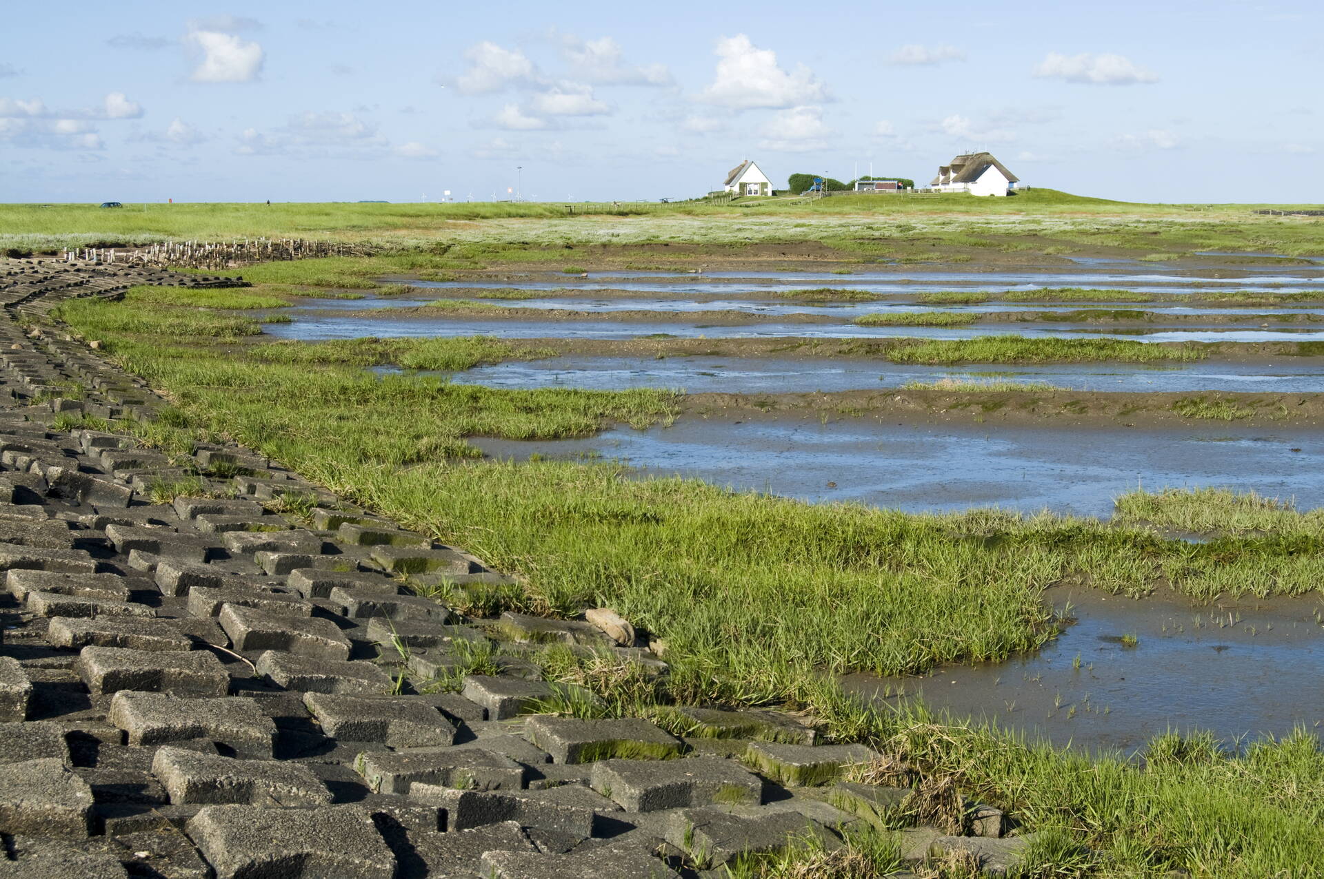 Küstenbefestigung an der Hamburger Hallig (Bildquelle: Leander Khiel/LKN.SH)