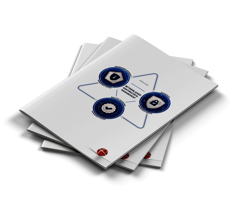 Mockup Prospekt Management Systeme