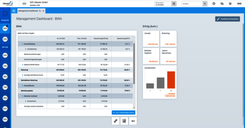 Diamant4 Management Dashboard mit BWA-Umsatz und Gewinn 